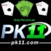 PK11 Game logo with pk11.com – online earning game for Android users