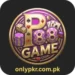 p88 Game