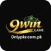9 Win Game logo with golden text on a black background, featuring a stylish design with gaming elements like chips and a green ball above the title.