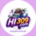 HI309 Game