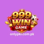 999Win Game