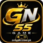 GN55 Game