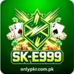 SK E999 Game
