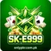 SK E999 Game
