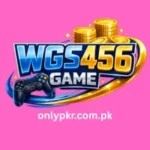 WGS 456 Game