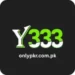 Y333 Game