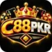 C88PKR Game